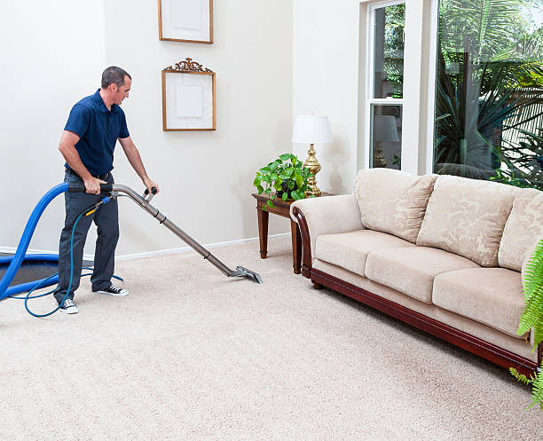 carpet cleaner Adelaide